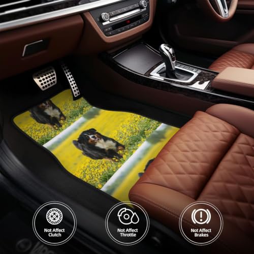 Alfombrillas de coche de Boyero de Berna juego de protectores de neopreno para amantes de perros 5