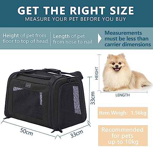 Petsfit Transportbox Katze Hund faltbar Transporttasche Hundetasche für Katzen Hunde, Hochwertige Tragetasche Hund Katze mit Schultergurt und weiches expandierbare Kissen, groß