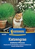 Kiepenkerl Katzengrassamen Frischgrün Mischung 1073301 - frisches Grün - schnell und einfach - niedriger Wuchs - Gräser, Pflanzensamen, Saatgut