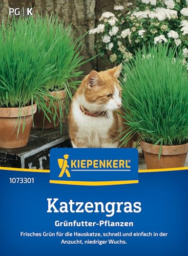 Produktbild Kiepenkerl Saatgut Katzengras Frischgrün Mischung für ca. 1 m²
