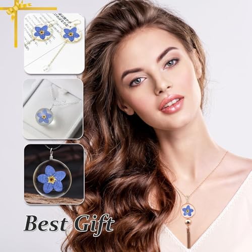 HEISENLIN 60PCS Flores Secas Natural Forget Me Not para Manualidades miniatura 6