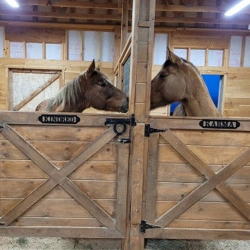 Personalisiertes Metallschild für Pferde, Stall, Namensschild für Pferde, Reiten, Scheunendekoration, Ranch-Dekoration, personalisiertes Scheunenschild, stabiles Türschild, personalisiertes Geschenk