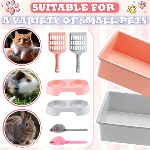 Kit de inicio para gatos con 2 areneros pequeños miniatura 4