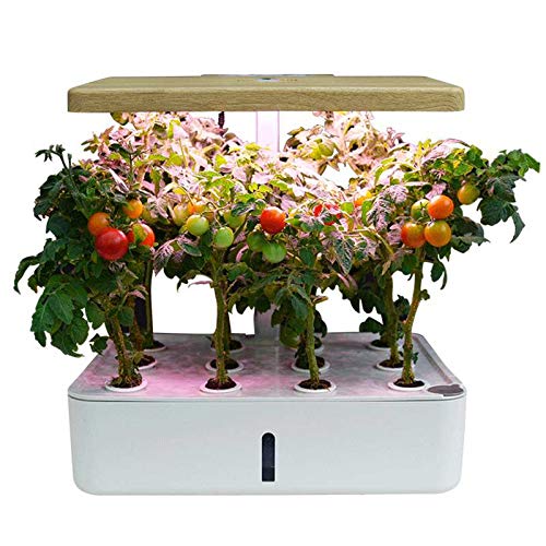 WQY Sistema De Cultivo Hidropónico, Kit De Inicio De Jardín De Hierbas para Interiores con Luz LED De Cultivo, Kits De Germinación De Plantas 12 Macetas para