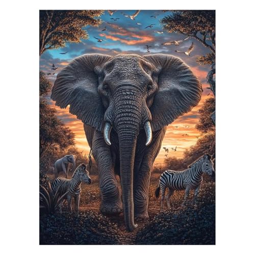 G V}E} G |Lbg yCgoCio[  Lbg  ANG̋ M LoX 100x135cm EH[A[g  LoXGpLrO[Q̉Ƃ̑ Ǐ Mtg JLYH-7711