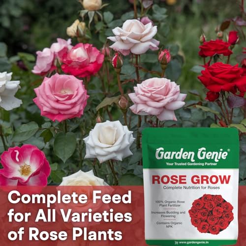 Image of Garden Genie Rose Grow 400 Gm | Organic Plant Food Fertilizer for Rose Fertilizer for Plant | Essential Nutrients, Promotes Vibrant Blooms