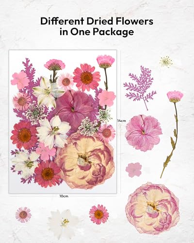 Image of Dried Flowers, Resiners 100Pcs Pressed Flowers for Craft Baby Pink Real Natural Dried Flowers Dry Leaves Kit for DIY Making Crafts Resin Soap Candle Scrapbook Supplies Card Making Jewelry
