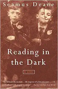 Reading in the Dark: A Novel book cover