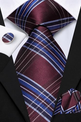 Image of Hi-Tie Mens Paisley Floral Striped Ties Set Silk Necktie and Lapel Pin for Men Pocket Square Cufflinks Set Business Wedding