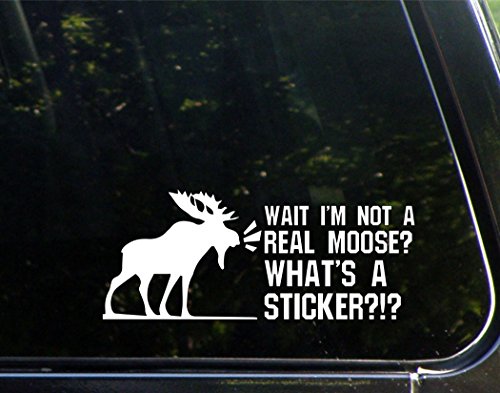 Wait I'm Not A Real Moose? What's A Sticker?- 8-3/4