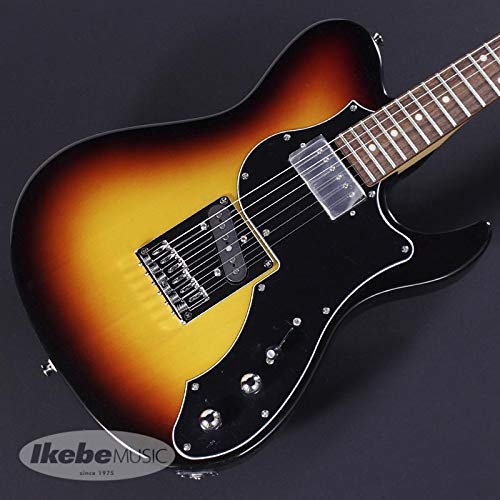 Amazon | フジゲン(Fujigen) BIL2-G-HS/3TS/01 Boundary ILIAD