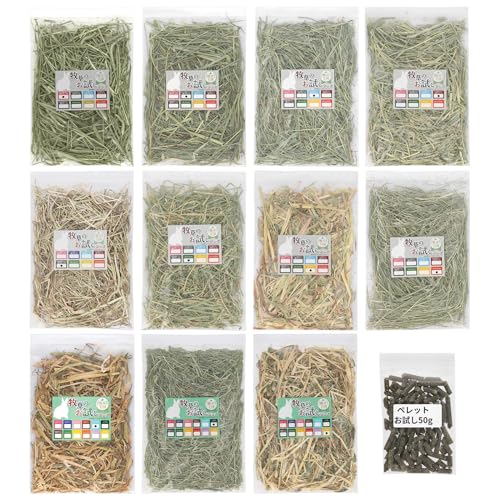 ӂςӂ  q12 e50g `V[ I[cwC At@t@ AJY Ji_Y kCY I[XgAY nX^[ ``  bg q ̌Nێ