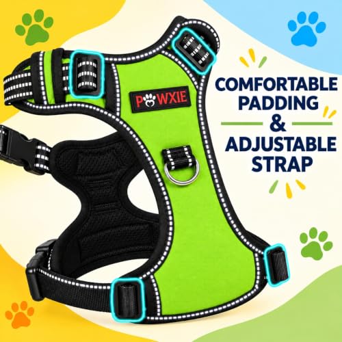 Image of No Pull Dog Chest Belt Harness, Comfortable & Adjustable Size for 35+ Kg Pet (Green, Extra-Large)