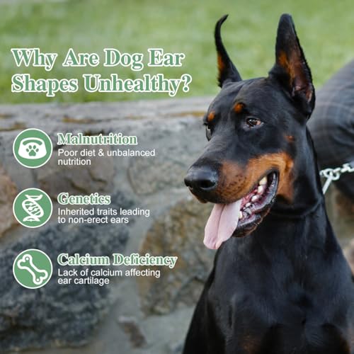 Image of POPETPOP 2 Sets Dog Ear Posting Kit - Doberman Ear Stand Up Tool with Tape | Dog Ear Stand Up Support Tool for Doberman Pinscher Medium Large Dog Ears Sticker Up