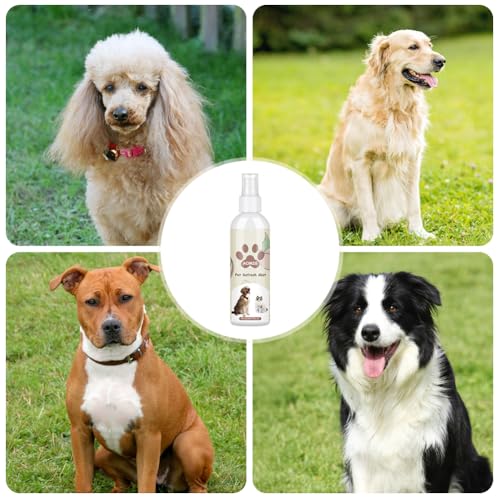 Aomig Hundeparfüm Gegen Geruch Fellpflege Hund Pfirsichparfüm Katze Fellpflegespray für Hunde Geruchsentferner Katze Fellpflege Pflegt Langzeit Deospray Geruchsneutralisierer Hundeparfüm Spray (200ml)