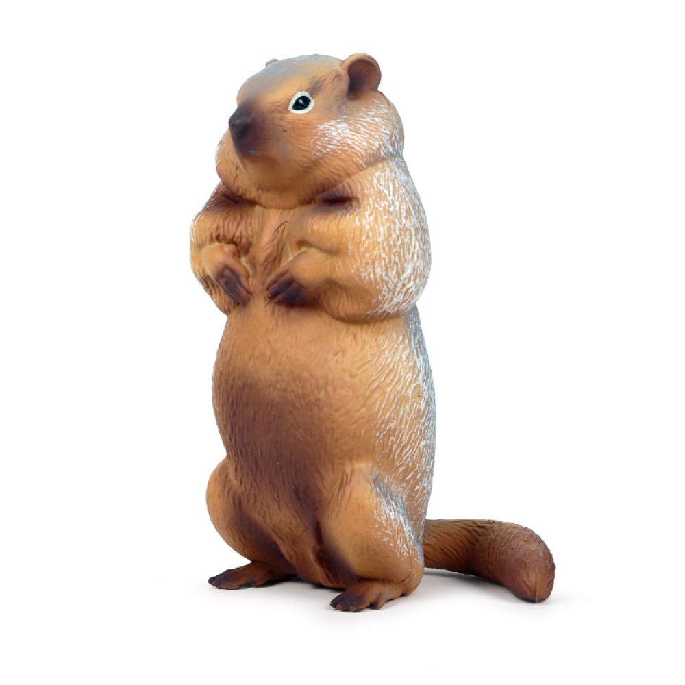 Statue simulation solide marmotte incassable pour remplacer les décos fragiles - 5