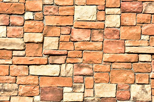 Image of DWELLSINDIA Bricks Wall in Sunlight Self Adhesive Wallpaper Waterproof, Scratch Resistant, Laminated 41cm x 244cm