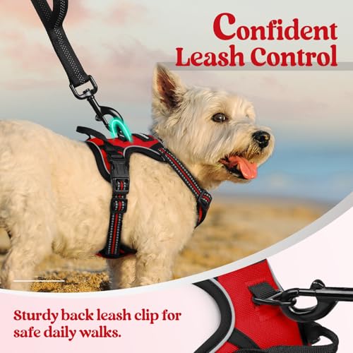 Image of rabbitgoo Dog Harness No Pull with 2 Leash Clips, Adjustable Soft Padded, Reflective Oxford No Choke Pet Vest with Easy Control Handle for Puppy, Red,XS | No Choke, Adjustable, Breathable Padded, 2 Lead Rings, Reflective, Easy Control for Walking Training, XS, Red