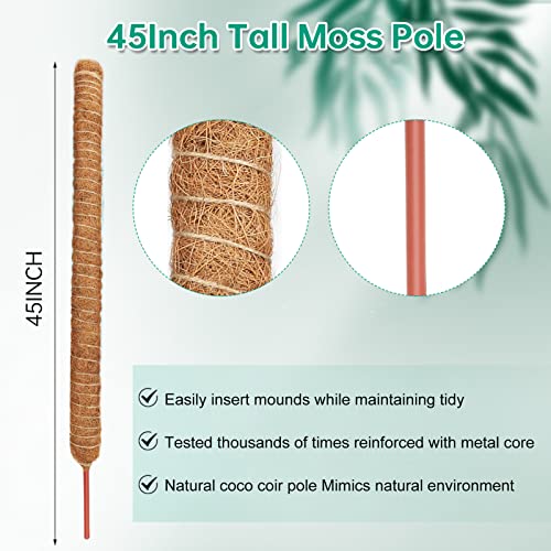 ADEBOLA 2 PCS 45 Inches Tall Moss Poles, Bendable Plant Poles for Climbing Plants with Two Garden Jute Ropes Plant Stakes for Indoor Plants for Monstera, Sphagnum, Pothos...