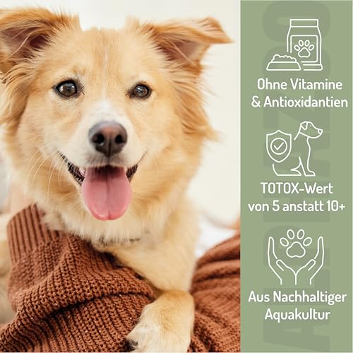alphazoo Premium Lachsöl Hunde 100 ml, Omega 3 & 6 Fischöl für Hunde - abgefüllt in Deutschland, Barf Öl, Fellpflege Hund