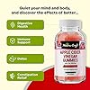 ACV-Apple-Cider-Vinegar-Gummies-Natural-Energy-Supplement-ACV-Gummies-with-Mother-for-Body-Cleanse-Immune-Support-and-Gut-Health-Apple-Cider-Vinegar-with-the-Mother-Vitamin-B12-and-Beet-Root Apple Cider Vinegar ACV Gummies - Gut Health & Natural Energy Supplement with Vitamin B6 B12 Beet Root and Pomegranate - Apple Cider Vinegar with Mother Body Cleanse Detox for Women & Men 60 Servings