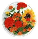 Peggy Karr Handcrafted Art Glass Autumn Garden Plate, Round, 11-Inch