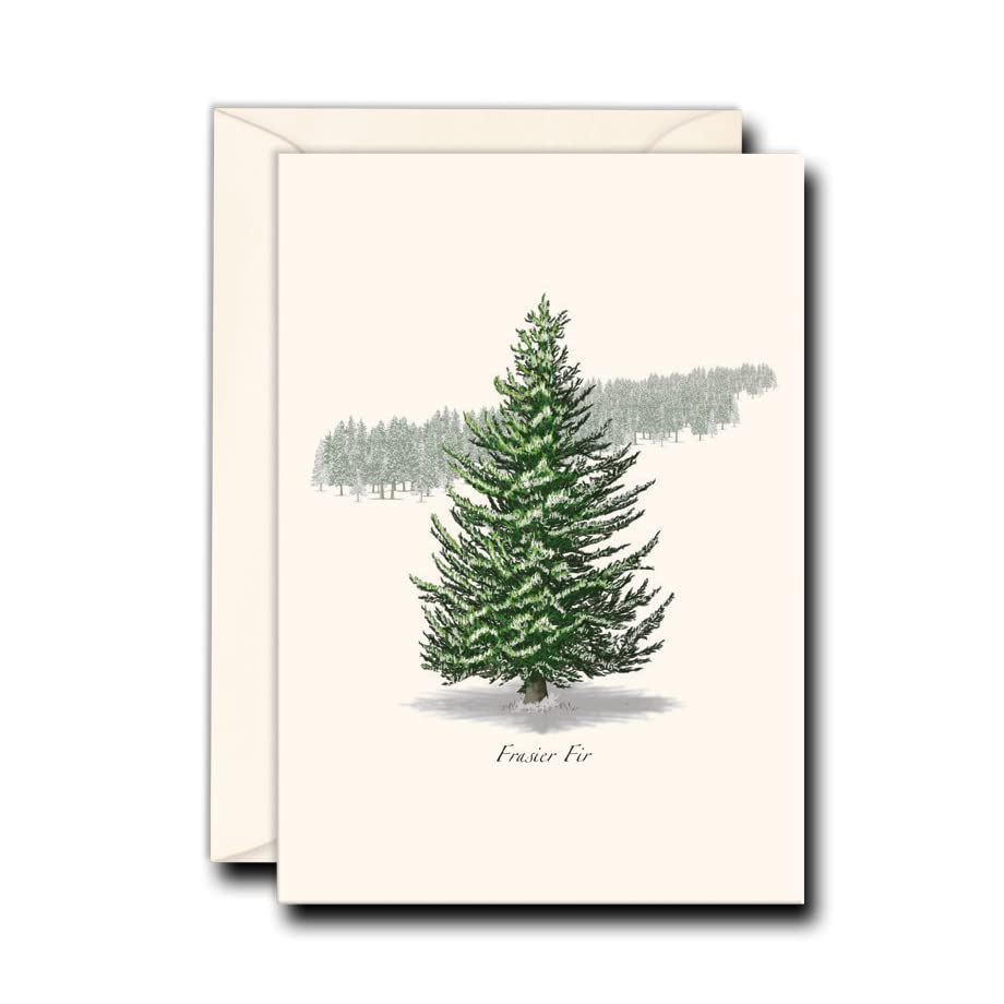 Image of Earth Sky + Water - Frasier Fir Notecard Set - 8 Blank Cards with Envelopes