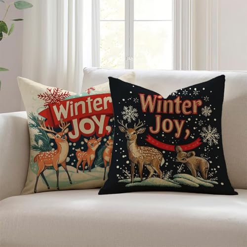 Housses de coussin en lin déperlant imperméable lot de 2 grand format - 2