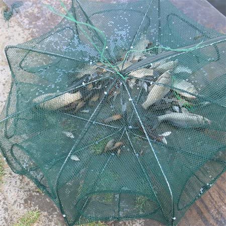 Image of Bolt Portable Folding Fishing Net - Fish Crab Shrimp,Minnow, Crayfish, Crab Cage Trap 8 Side Automatic Folding Umbrella Type Fishing net