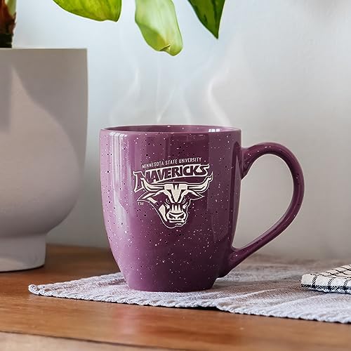 Image of Rico Industries NCAA Minnesota State-Mankato Mavericks Purple Personalized 16 oz Team Color Laser Engraved Speckled Ceramic Coffee Mug