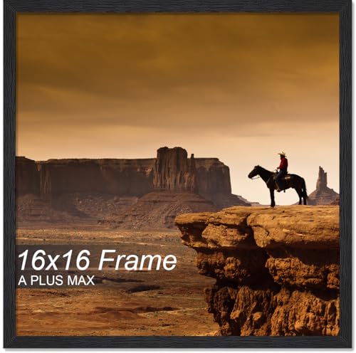 A PLUS MAX 16x16 Picture Frame Black Light Weight Wall Mount