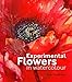 Experimental Flowers in Watercolour