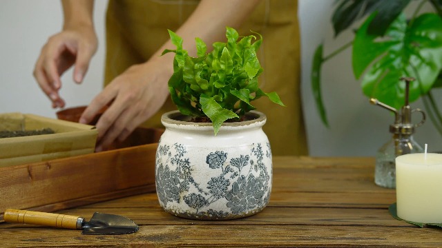 Amazon.com : Dosayes Vintage Red Ceramic Ice Crack Flower