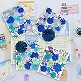 Zoom IMG-1 youthbro fiori pressati secchi blu Zoom IMG-1 youthbro fiori pressati secchi blu