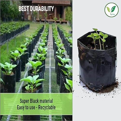 Image of IAgriFarm UV Protected Poly Grow Bag /Nursery Plant Bags, 25x25 inch, 10 Qty, Black