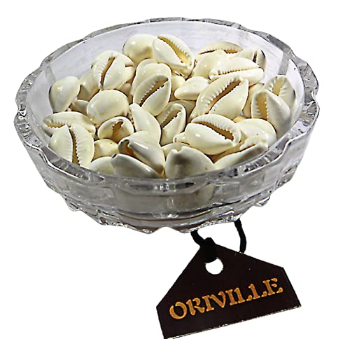 ORIVILLE White Cowdi/Kauri/Kowri/Kaudi/Cowrie Shells Energised with Mantras (51 Pieces for Pooja/Puja) - Image 3 thumbnail