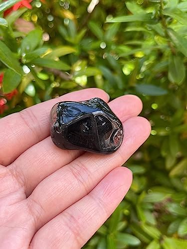 Image of GAF TREASURES 1 /2 LB Black Onyx Tumbled Stones, Polished Natural Black Onyx Gemstone, Black Onyx Healing Crystals (Black Onyx)