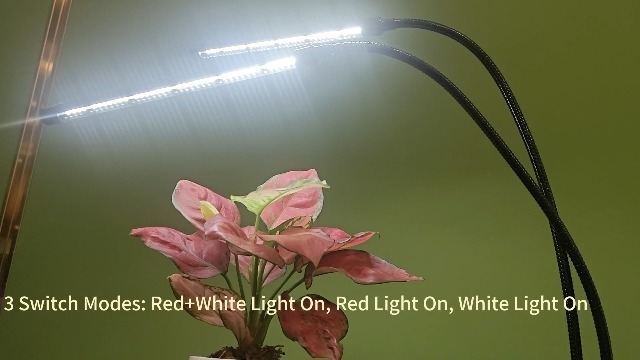 Amazon.com : Black Grow Lights for Indoor Plants, 168 LEDs Clip