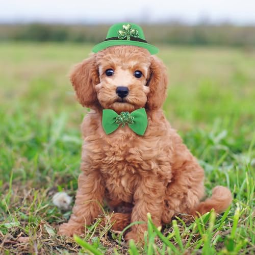 Disfraz ligero irlandés para mascotas 2 sets miniatura 2