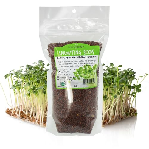 Radish Sprouting Seeds 1 lb – Non-GMO Daikon Microgreen Seeds for Indoor Growing