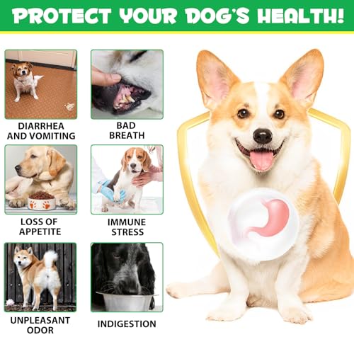 Probiotics for Dogs 180 Tablets, Dog Probiotic Tablets Supports Gut Health with Enzyme Blends & Prebiotic, Dog Digestive Supplements with Probiotic Supports Digestive Health, Immune System Booster - Image 6