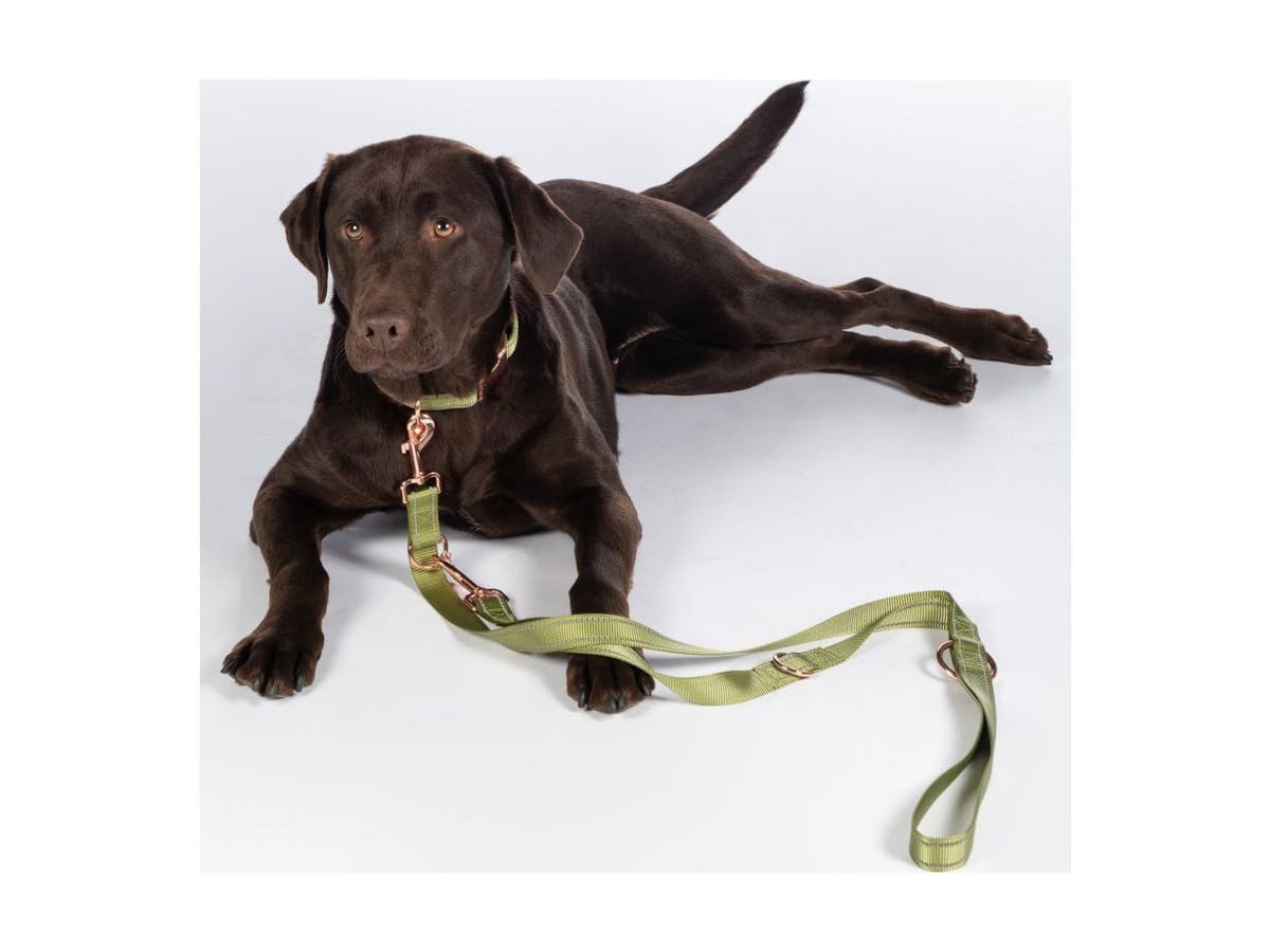 HKM Qooper nylon Dog Trainings Leash, Pistachio, S