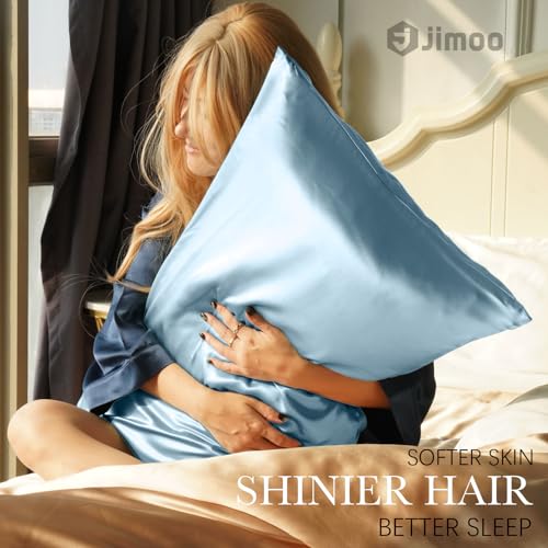 100% Mulberry Silk Pillowcase for Hair and Skin, 22 Momme Pure Natural Silk Pillow Case Both Sided with Zipper, Pillow Cover for Women Mom Men (Light Blue, Queen 20''×30'')