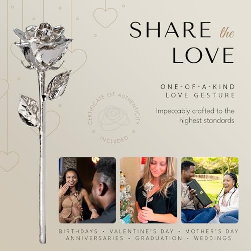 Image of Forever Rose Real Rose Dipped in Platinum, Luxury Leather Display Case