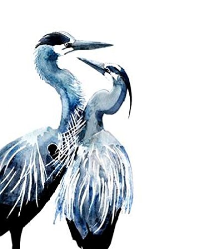 Coastal Dance Poster Print by Crystal Smith (22 x 28)