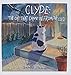 Clyde: The Cat Who Came in from the Cold