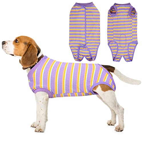 Hjumarayan Body Chien Post Operatoire Femelle, Combinaison de Récupération Chirurgicale pour Chien, Coton Habit pour Chien, Animal Domestique Combinaison Chirurgicale Post-Opératoire (Violet, L) Cover
