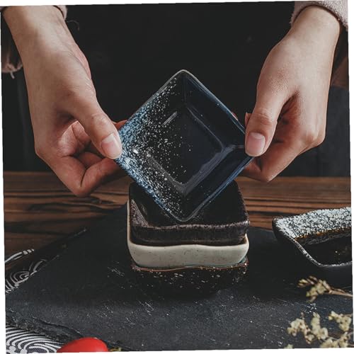 Platos de cerámica estilo japonés para sushi x5 miniatura 6