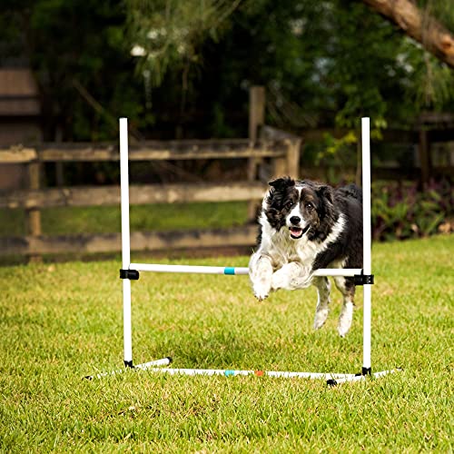 Midlee Dog Agility Beginner Set- Hoop Jump, Weave Poles, and Bar Jump by Midlee - Image 7