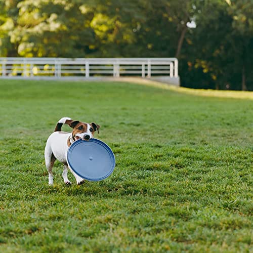 PetPäl Hunde Spielzeug aus TPE-Gummi: lebensmittelecht, langlebig & robust - Frisbee, Ball mit Seil, Kau-Knochen - Wurf-, Aportier-, Wasser- & Schwimmspielzeug - Großer Spaß für Große & Kleine Hunde